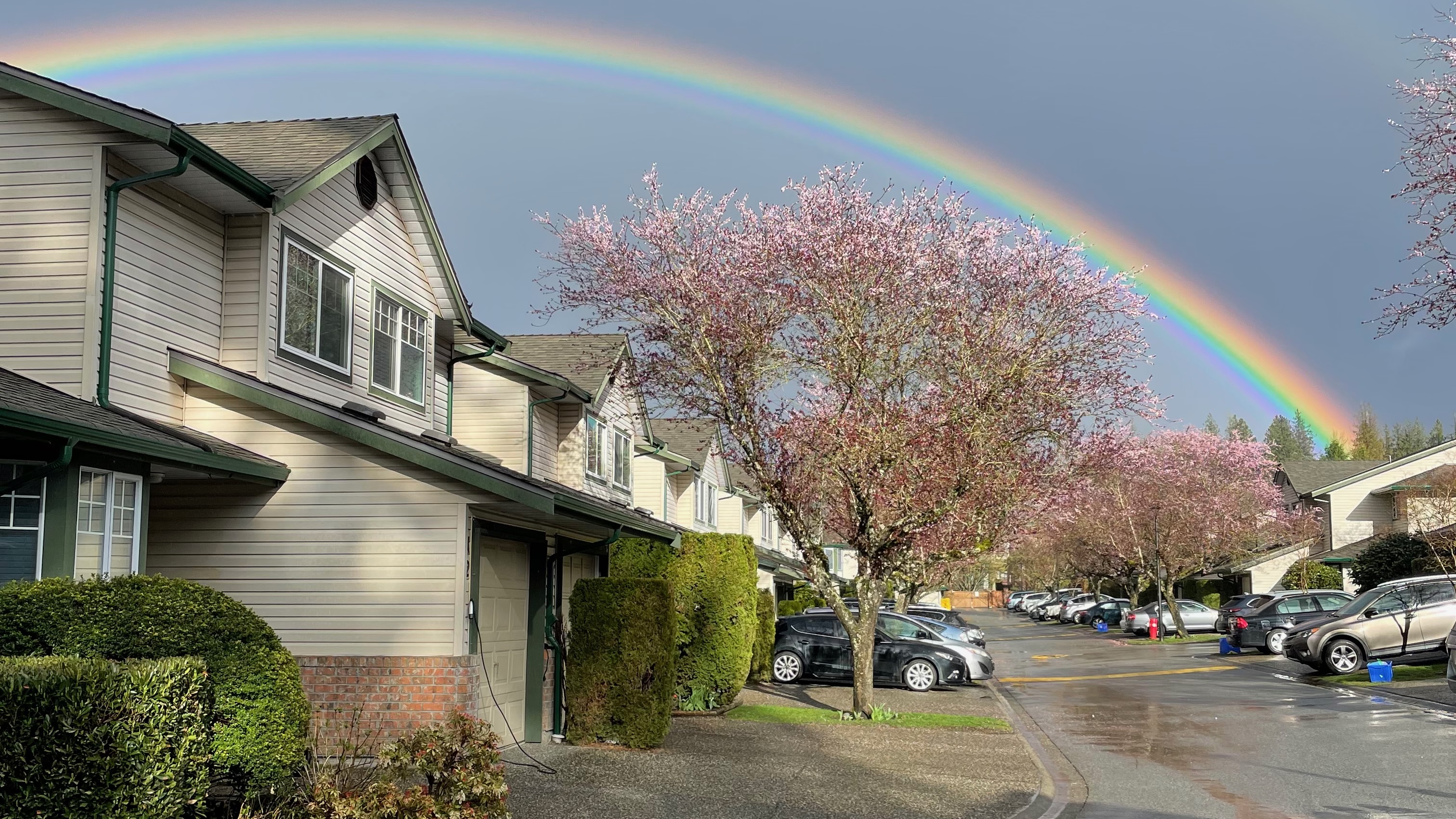 A neighbourhood with a rainbow in the sky