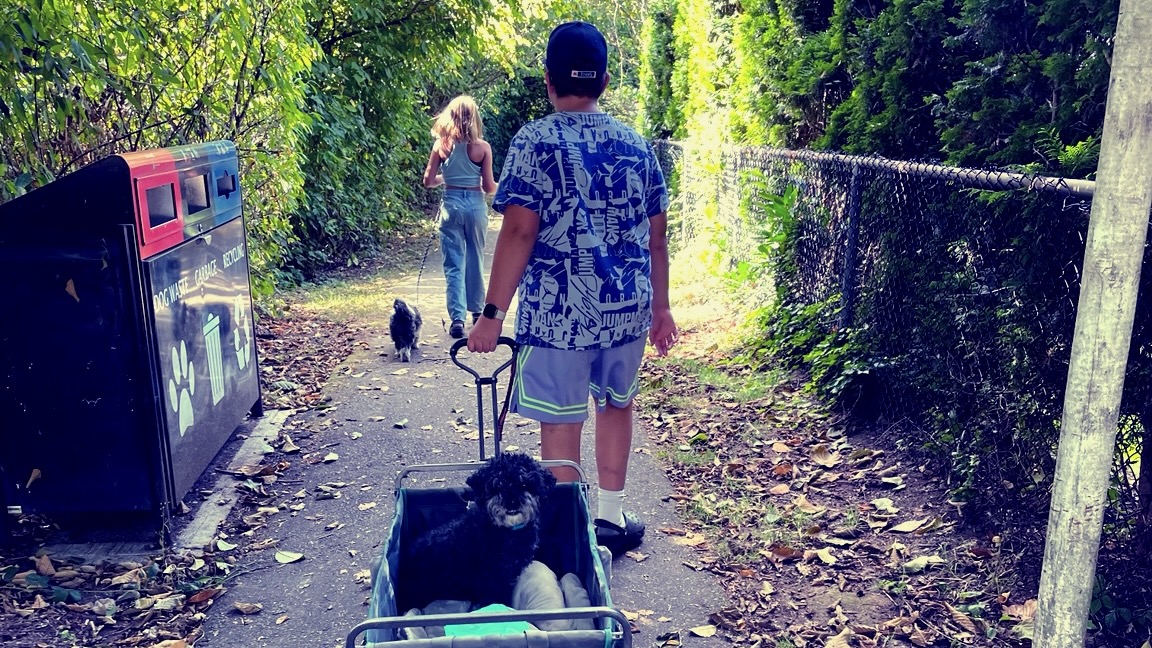 Two of Jami's children walking down a path with a dog in a wagon.